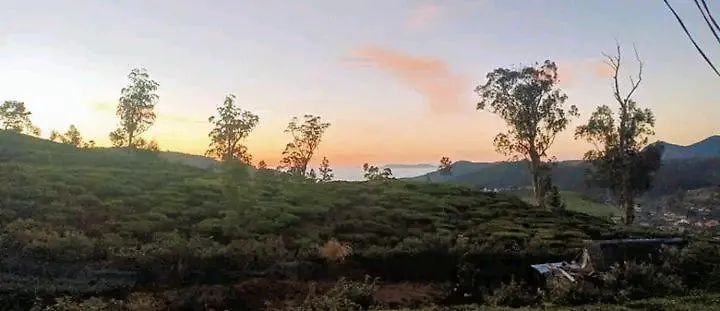 The Paulwood Cabana Home Stay Nuwara Eliya Accommodatie bij particulieren